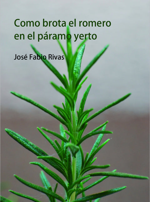  Como brota el romero en el páramo yerto 