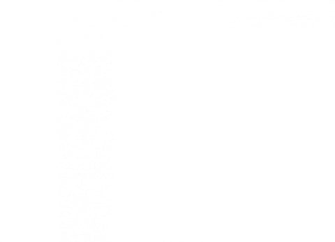  La cobla i la sardana 