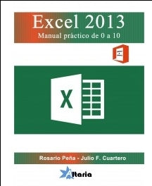  Excel 2013 