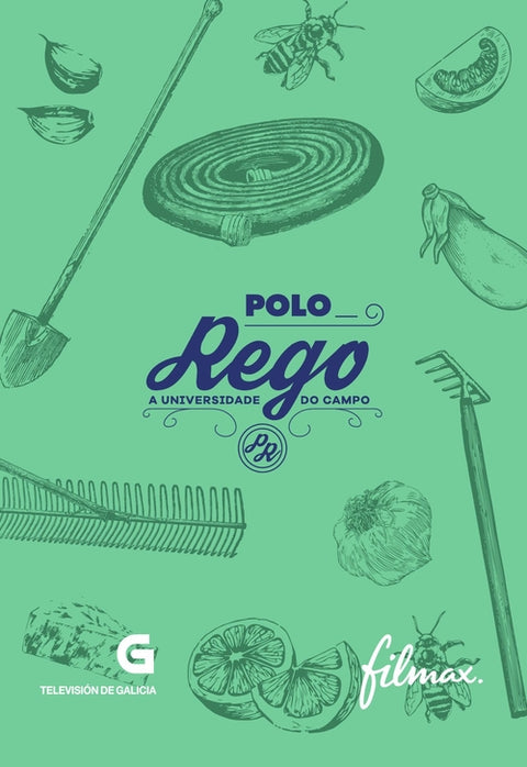  Polo rego 