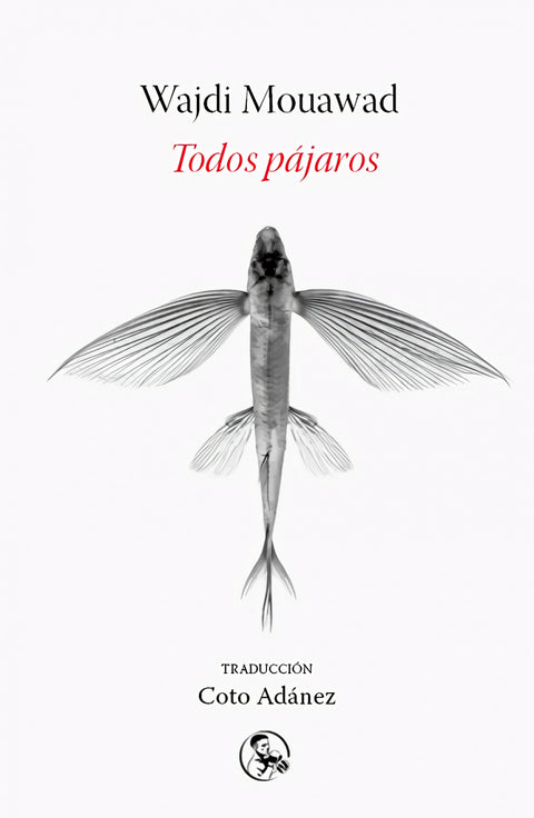 Todos pájaros 