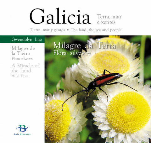  MILAGRE DA TERRA 