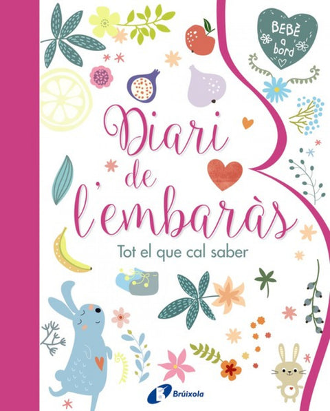  Diari de l´embaràs 