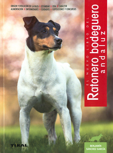  Ratonero Bodeguero andaluz 