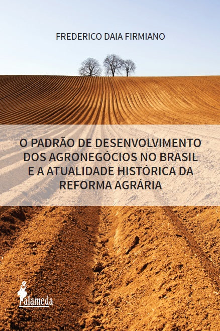  O padrão de desenvolvimento dos agronegócios no Brasil 