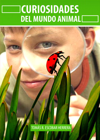  CURIOSIDADES DEL MUNDO ANIMAL 