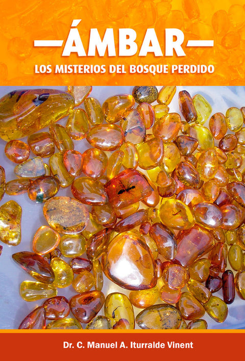  ÁMBAR. LOS MISTERIOS DEL BOSQUE PERDIDO 