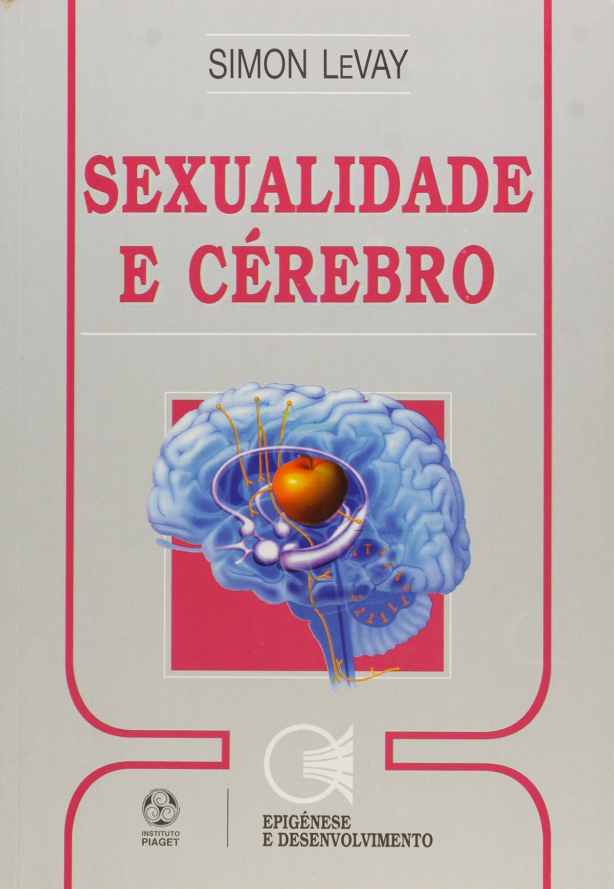  A Sexualidade e Cérebro 