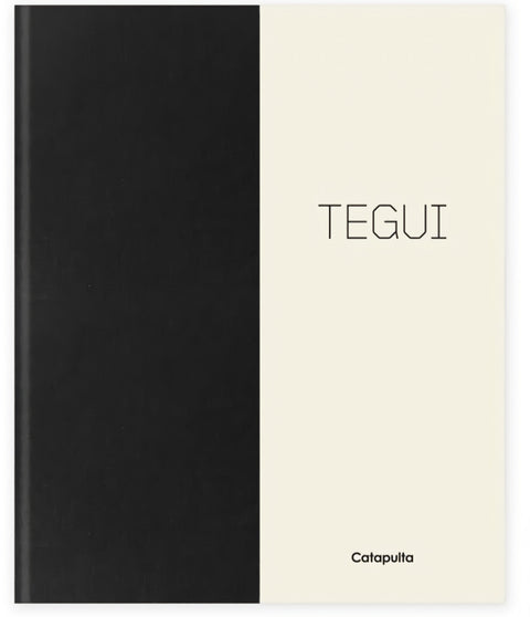  TEGUI - NE 