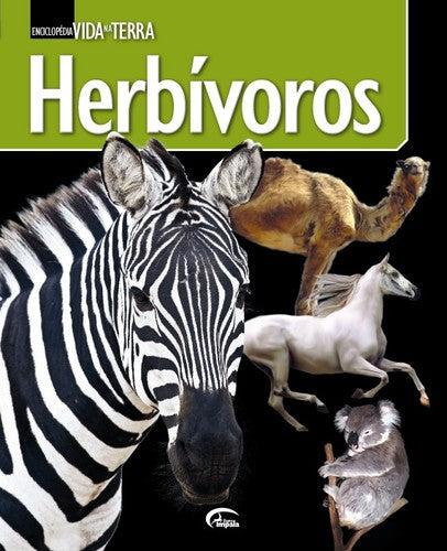  HERBÍVOROS 