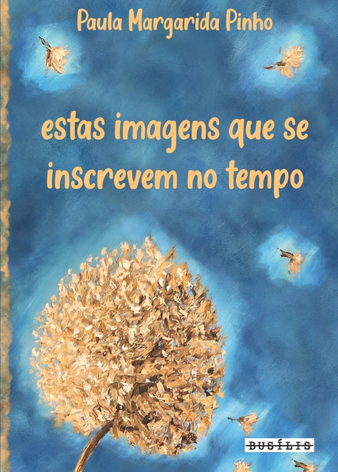  Estas imagens que se inscrevem no tempo 