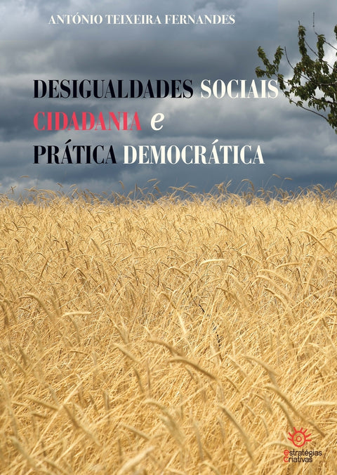  DESIGUALDADES SOCIAIS, CIDADANIA E PRÁTICA DEMOCRÁTICA 