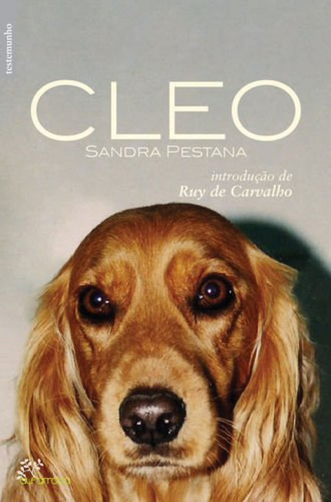  Cleo 