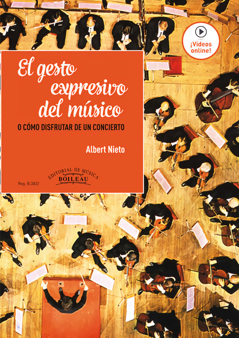  El gesto expresivo del músico o como disfrutar de un cocierto 