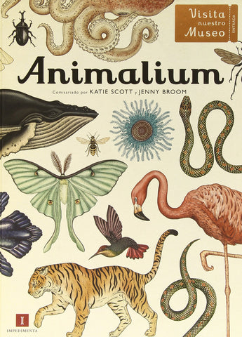  Animalium. 