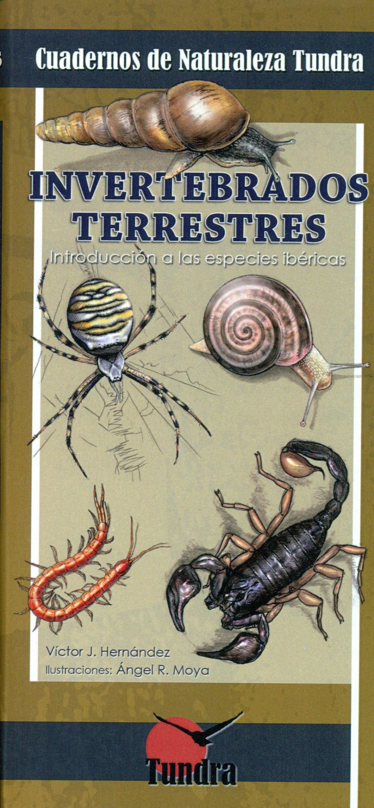  INVERTEBRADOS TERRESTRES 