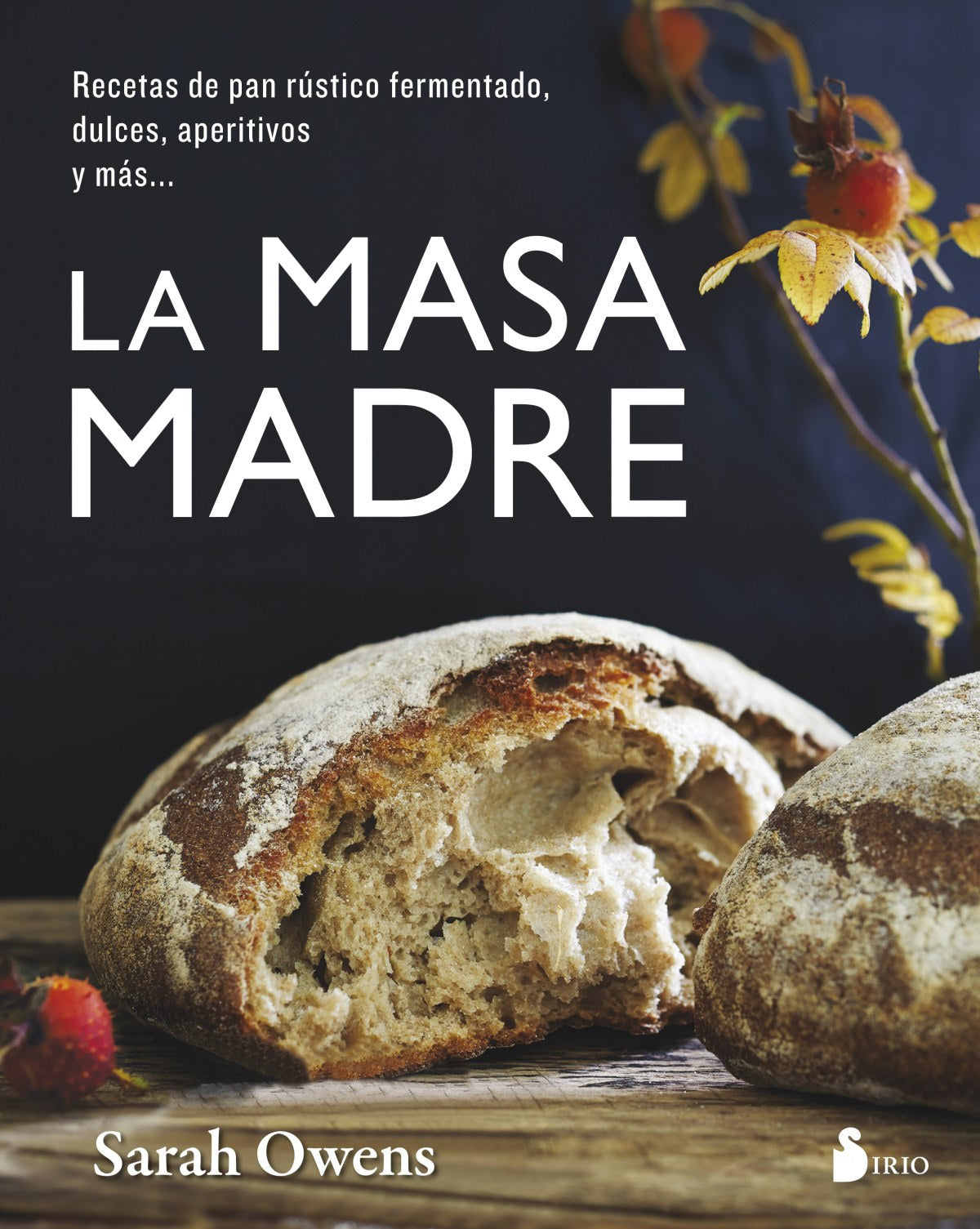  LA MASA MADRE 