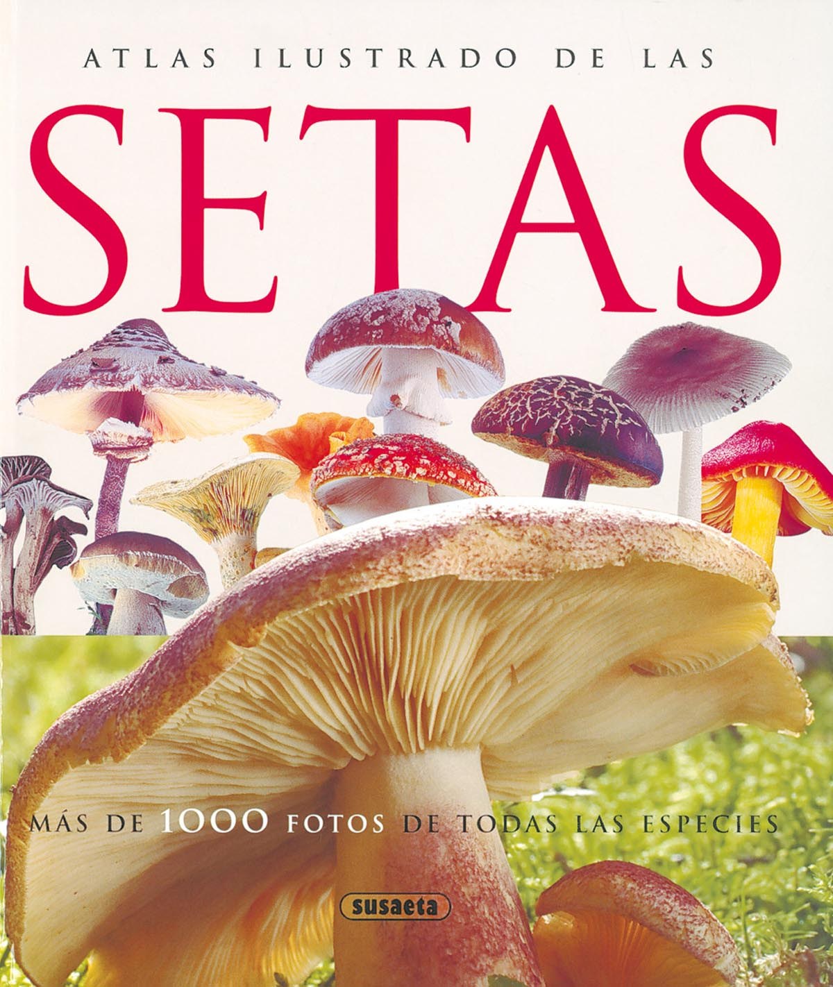  Atlas ilustrado de las setas 