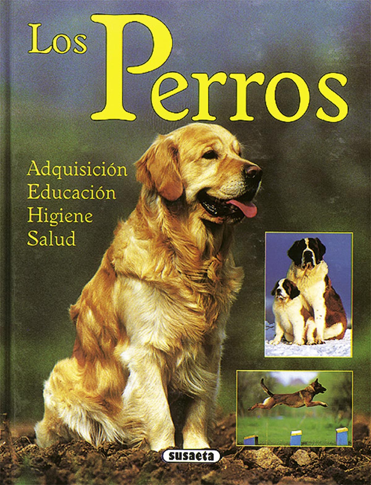  Los perros 