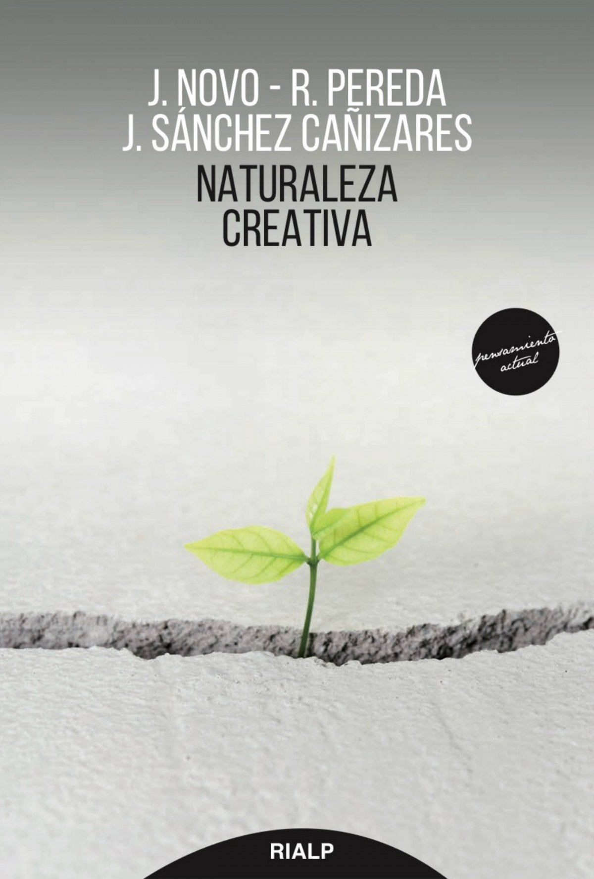  NATURALEZA CREATIVA 