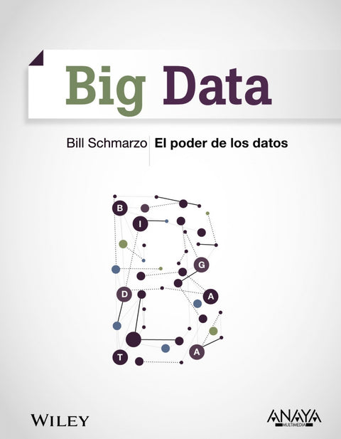  Big Data 