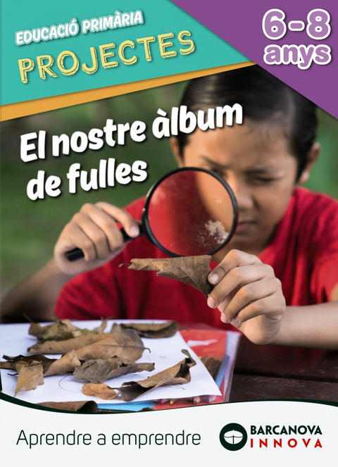 EL NOSTRE ÁLBUM DE FULLES 2N PRIMARIA INNOVA 