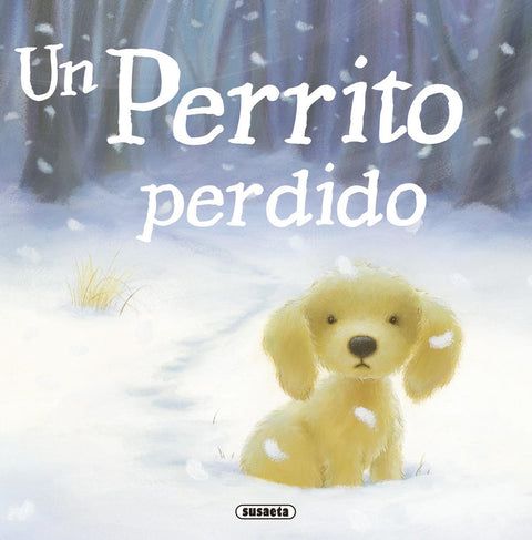  Un perrito perdido 