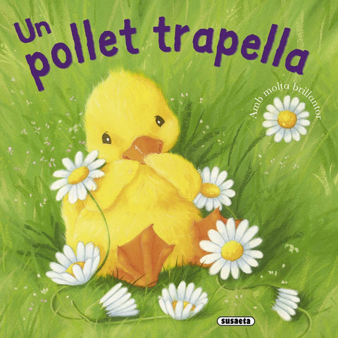  Un pollet trapella 