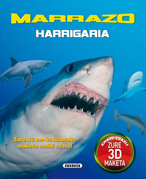  Marrazo harrigaria 
