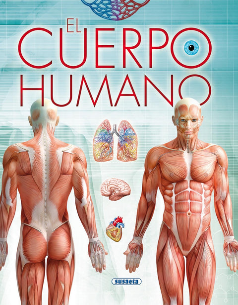  El cuerpo humano 