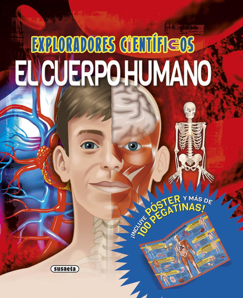  Cuerpo humano 