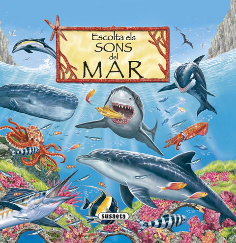  Escolta els sons del mar 