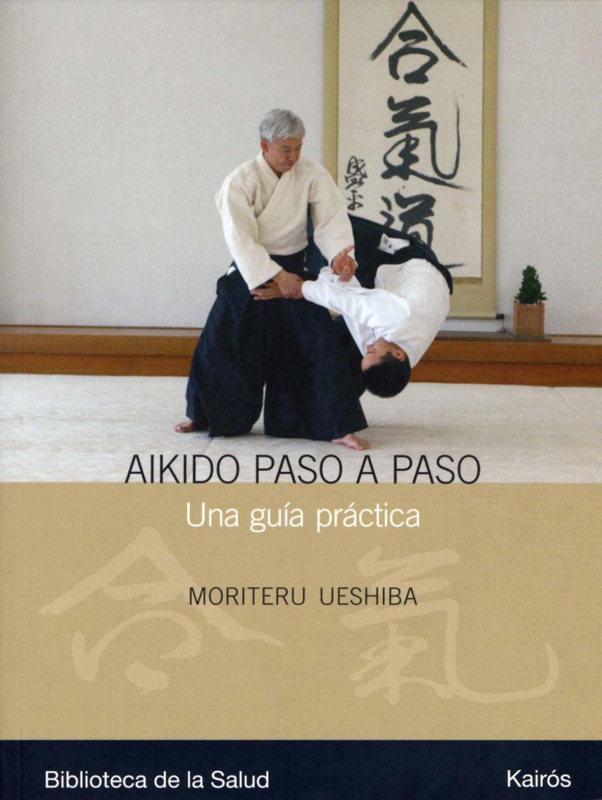  Aikido paso a paso 