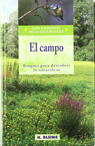  Campo 