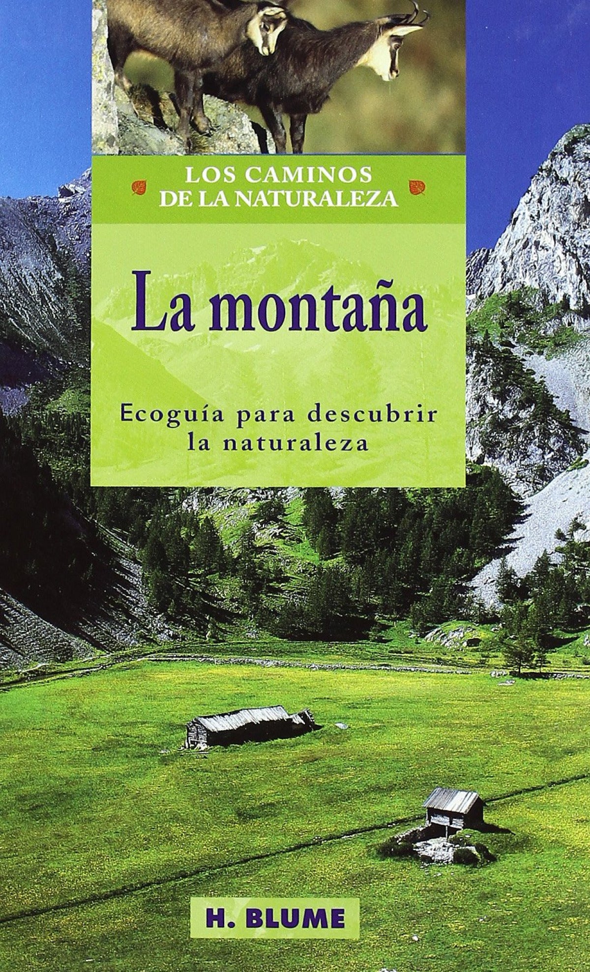  MontaÑa 