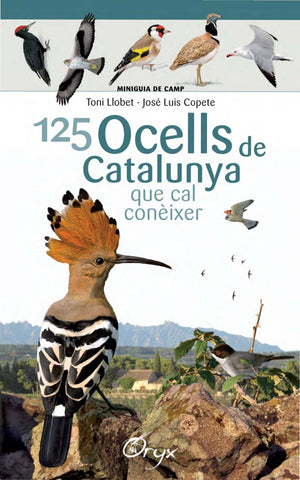  125 OCELLS DE CATALUNYA 