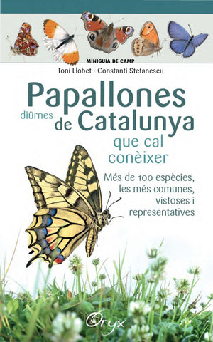  PAPALLONES DIURNES DE CATALUNYA 