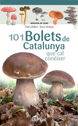  101 BOLETS DE CATALUNYA 