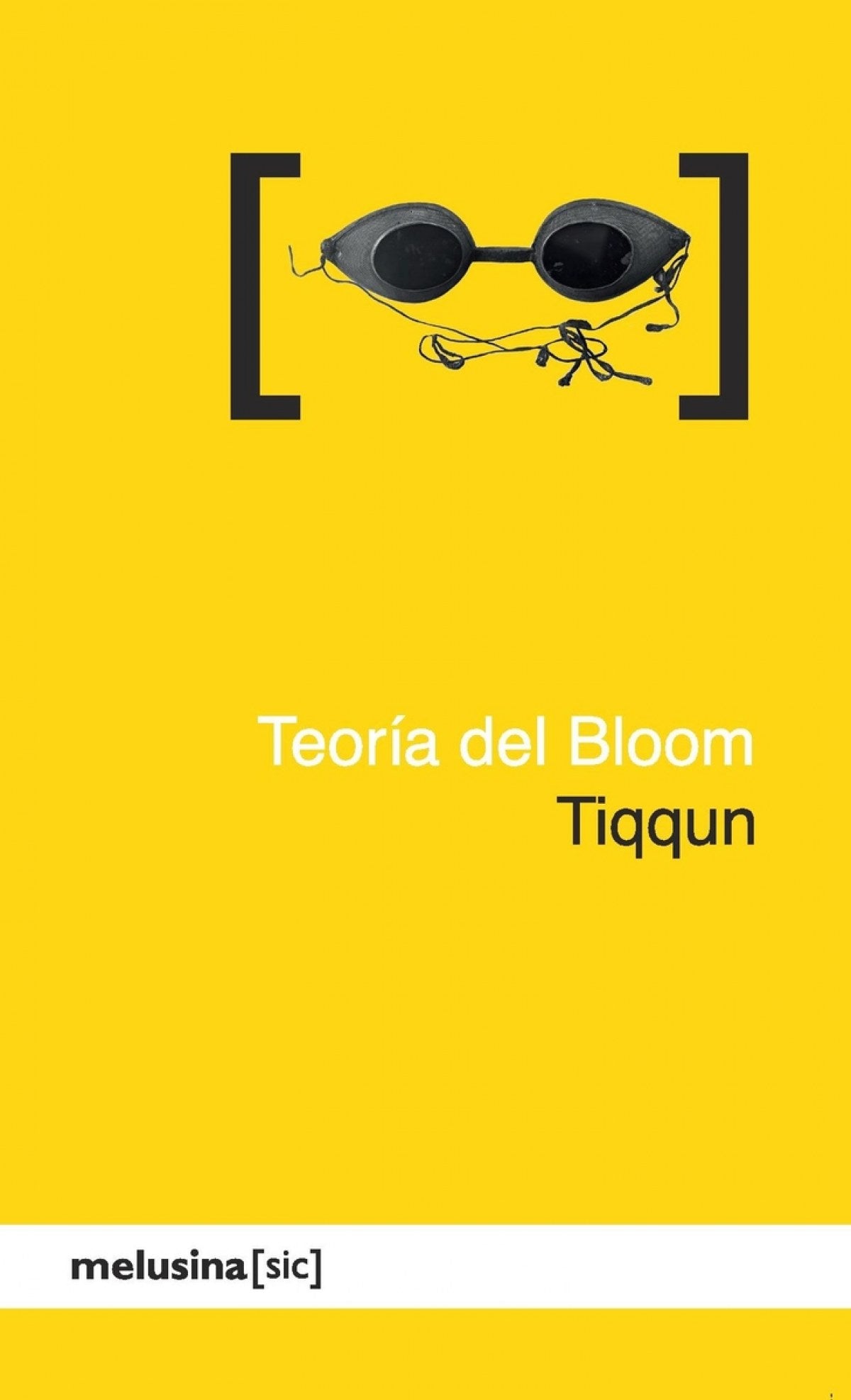  Teoría del Bloom 