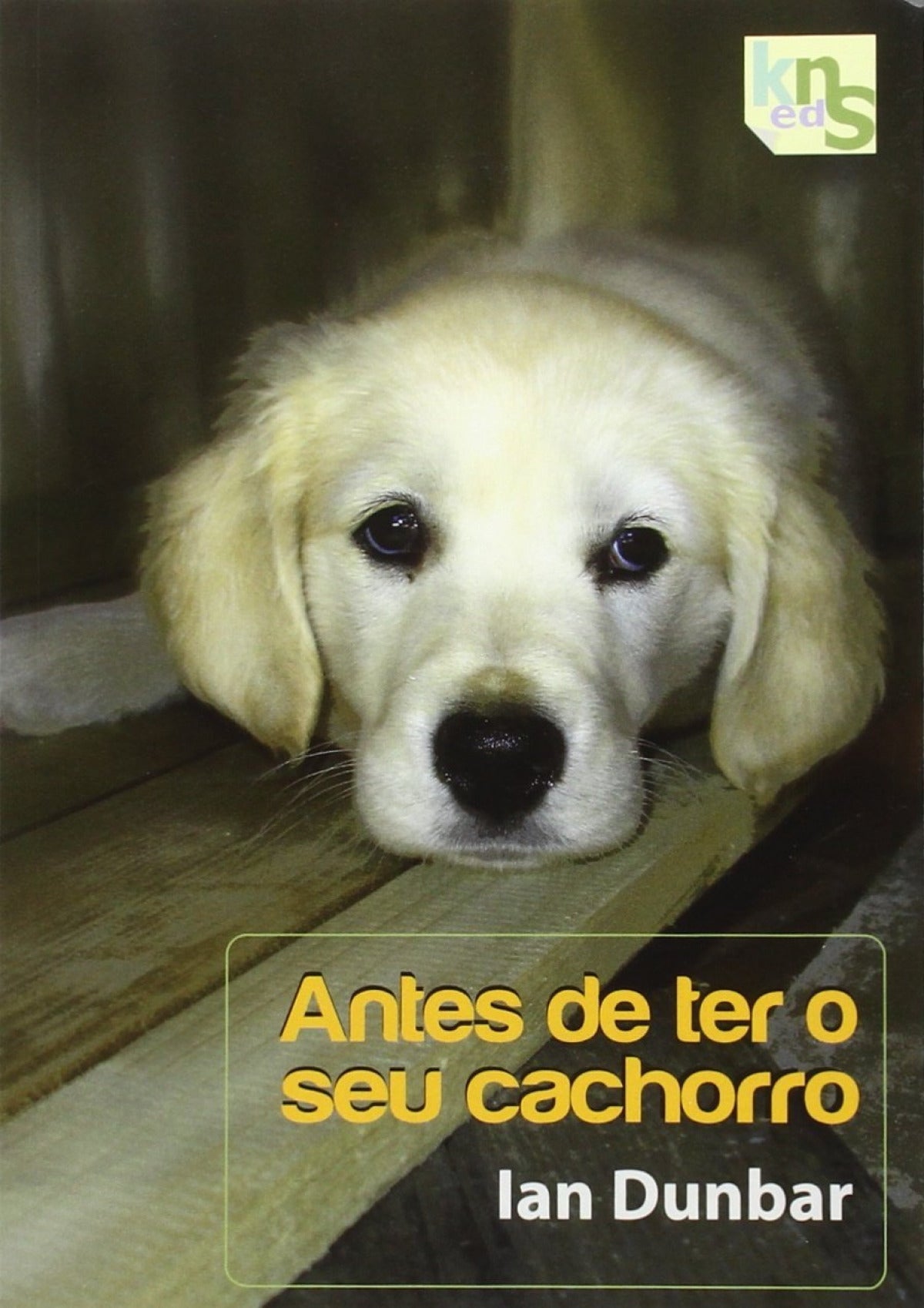  Antes de ter o seu cachorro 