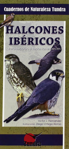  HALCONES IBÉRICOS 