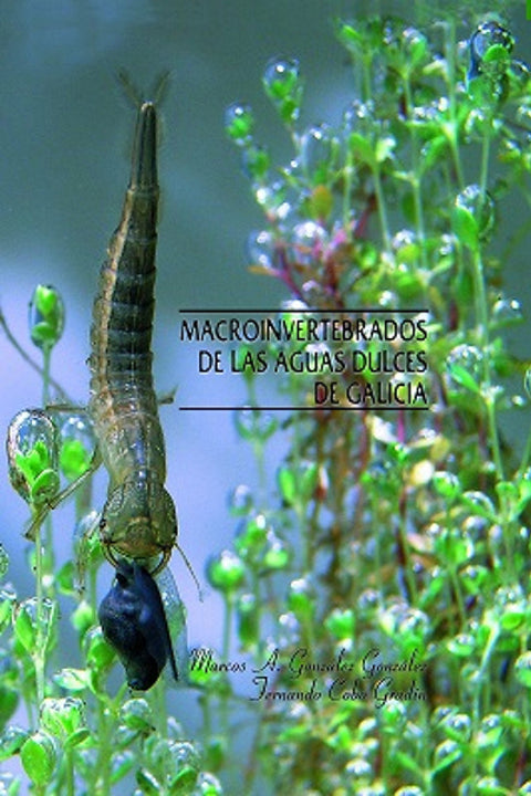  Macroinvertebrados de las aguas dulces de Galicia 