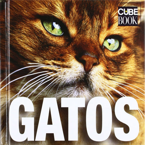  Gatos 