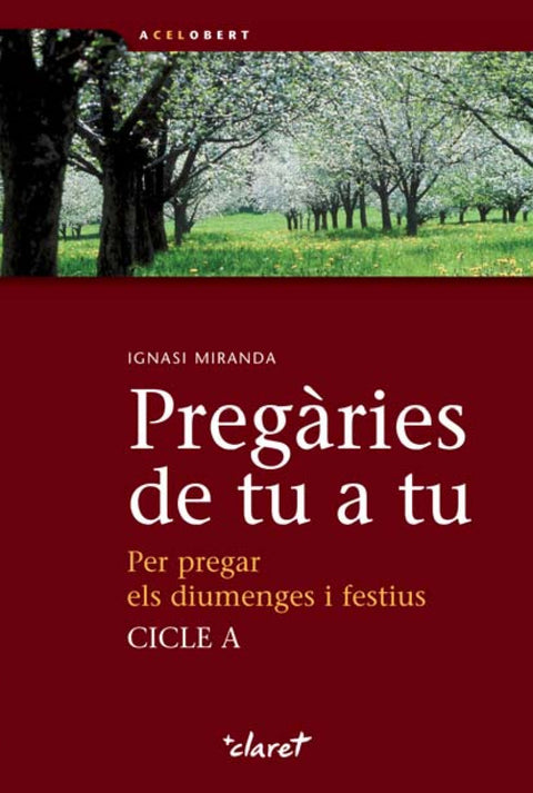  Pregàries de tu a tu. Cicle A 