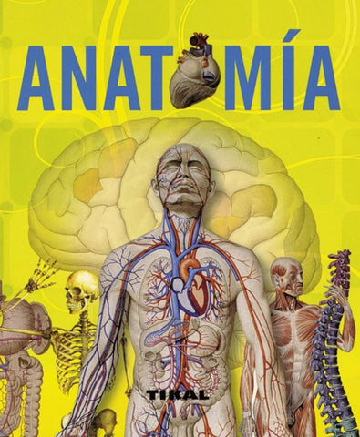  Anatomía (Enciclopedia universal) 