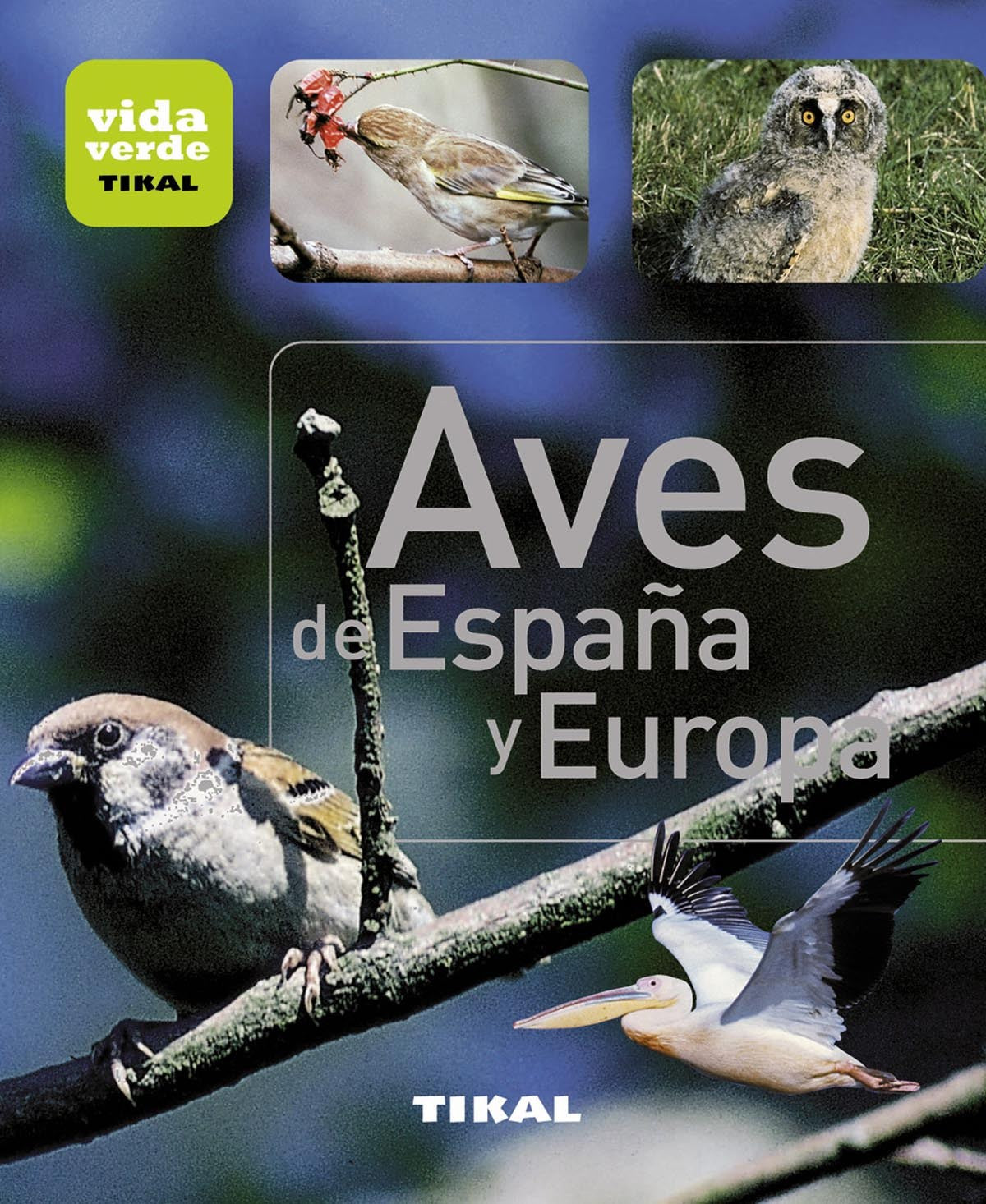  Aves de España y Europa 