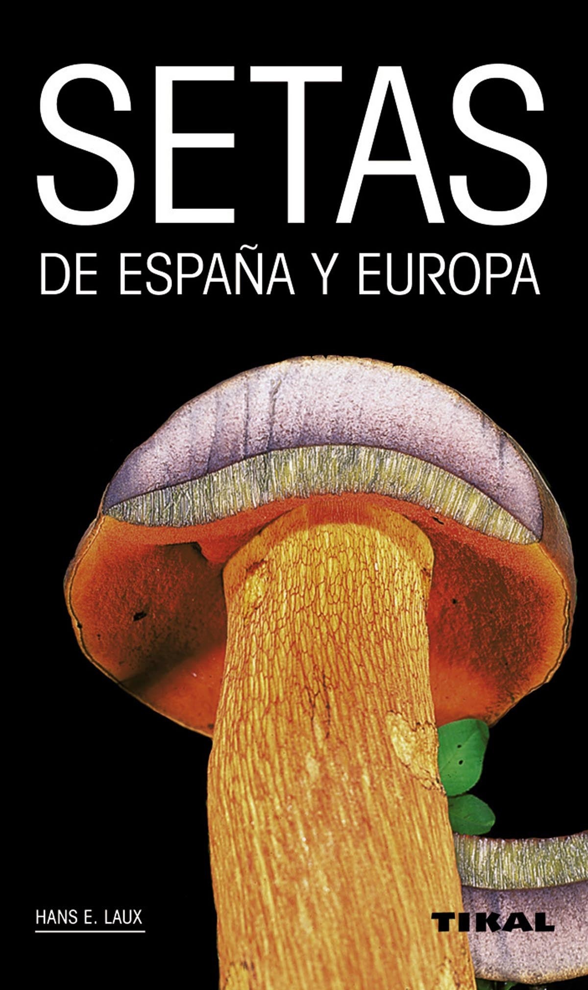  Setas de españa y europa 