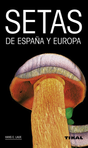  Setas de españa y europa 