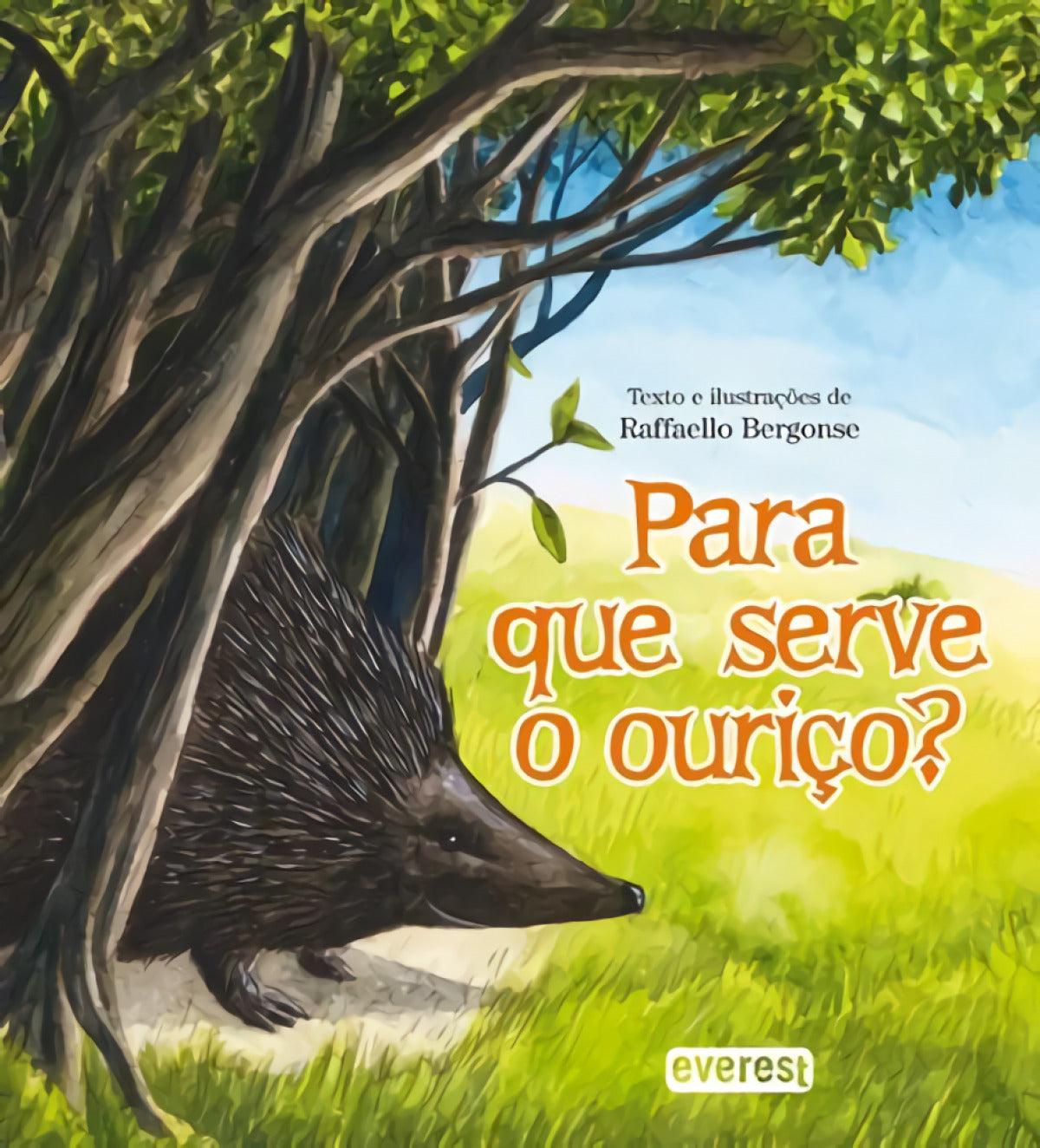  PARA QUE SERVE O OURIÇO? 